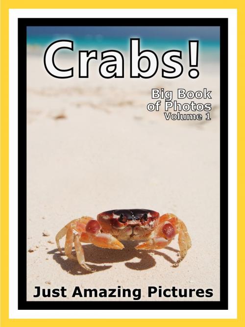 Cover of the book Just Crab Photos! Big Book of Photographs & Pictures of Crabs, Vol. 1 by Big Book of Photos, Big Book of Photos