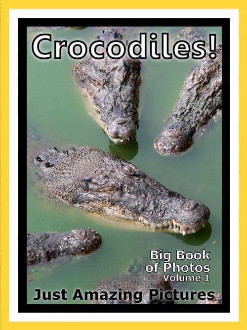 Cover of the book Just Crocodile & Alligator Photos! Big Book of Photographs & Pictures of Crocodiles & Alligators, Vol. 1 by Big Book of Photos, Big Book of Photos
