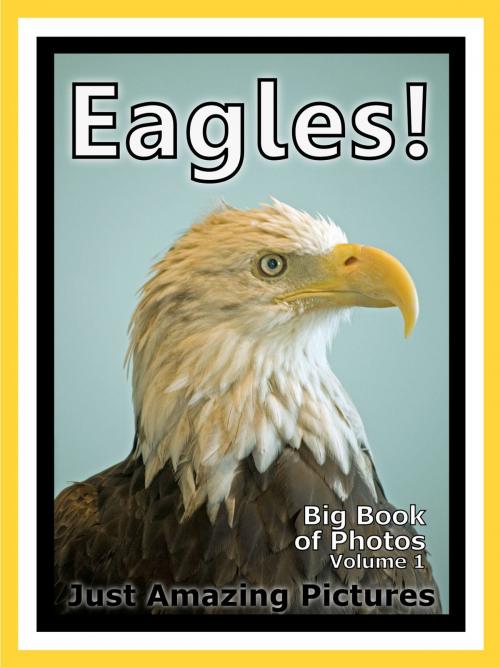 Cover of the book Just Eagle Photos! Big Book of Photographs & Pictures of Eagles, Vol. 1 by Big Book of Photos, Big Book of Photos