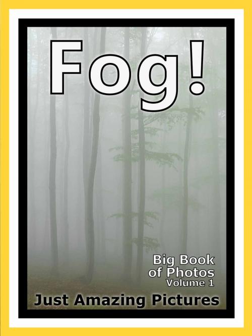Cover of the book Just Fog Photos! Big Book of Photographs & Pictures of Foggy Mist, Vol. 1 by Big Book of Photos, Big Book of Photos