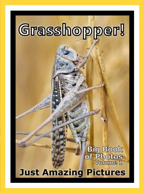 Cover of the book Just Grasshopper Photos! Big Book of Photographs & Pictures of Grasshoppers, Vol. 1 by Big Book of Photos, Big Book of Photos