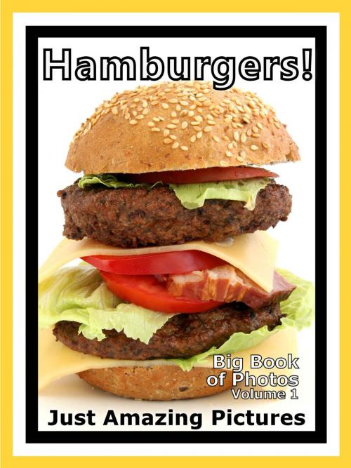 Cover of the book Just Hamburger Sandwich Photos! Big Book of Photographs & Pictures of Hamburgers Sandwiches, Vol. 1 by Big Book of Photos, Big Book of Photos