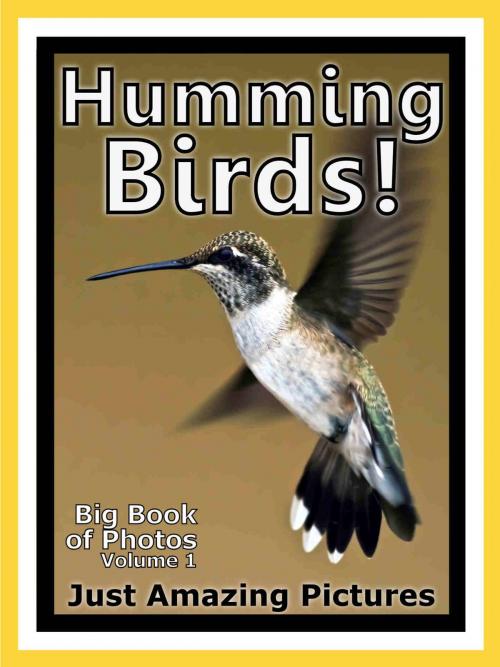 Cover of the book Just Humming Bird Photos! Big Book of Photographs & Pictures of Hummingbirds, Vol. 1 by Big Book of Photos, Big Book of Photos