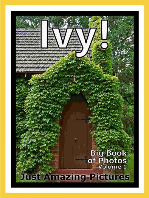 Cover of the book Just Ivy Plant Photos! Big Book of Photographs & Pictures of Ivy Plants, Vol. 1 by Big Book of Photos, Big Book of Photos