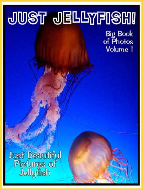 Cover of the book Just Jellyfish Photos! Big Book of Jellyfish Photographs & Pictures Vol. 1 by Big Book of Photos, Big Book of Photos