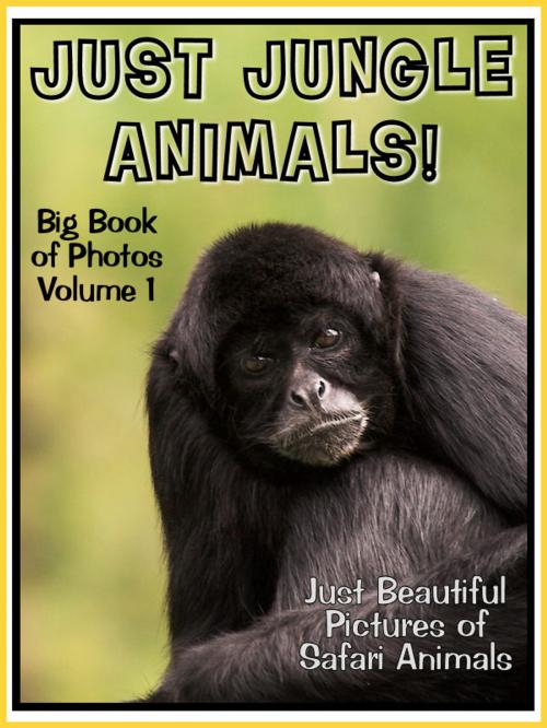 Cover of the book Just Jungle Photos! Big Book of Jungle Photographs & Pictures: Monkeys, Gorillas, Lions, Piranhas, Crocodiles, and more! Vol. 1 by Big Book of Photos, Big Book of Photos
