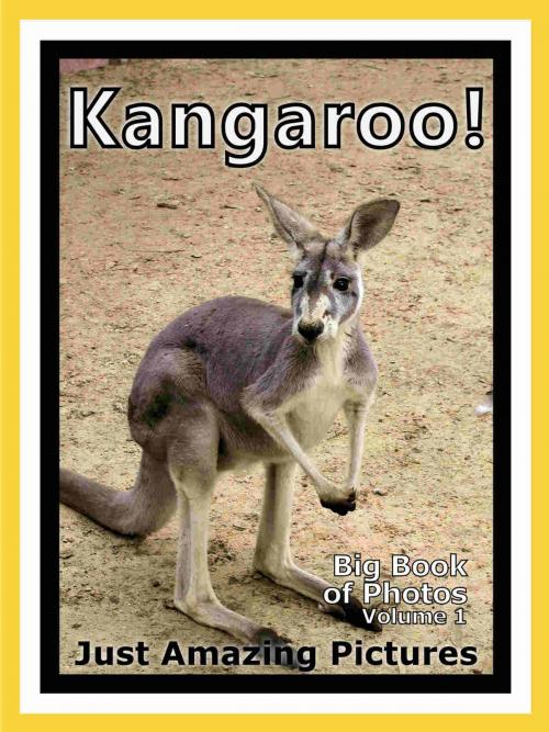 Cover of the book Just Kangaroo Photos! Big Book of Photographs & Pictures of Kangaroos, Vol. 1 by Big Book of Photos, Big Book of Photos