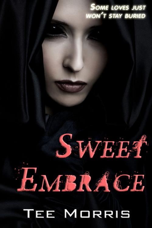 Cover of the book Sweet Embrace by Tee Morris, Imagine That! Studios