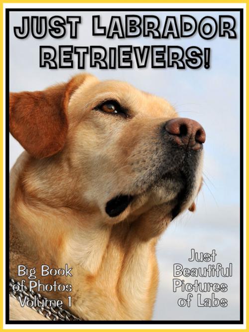Cover of the book Just Labrador Retriever Photos! Big Book of Lab Dog Photographs & Pictures Vol. 1 by Big Book of Photos, Big Book of Photos