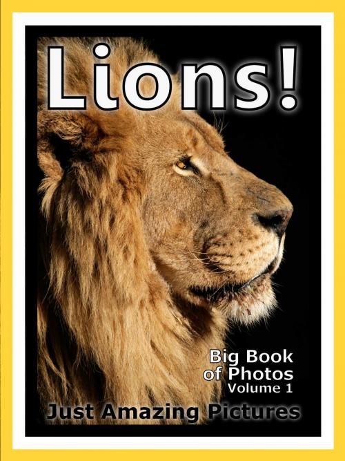 Cover of the book Just Lion Photos! Big Book of Photographs & Pictures of Lions, King of the Jungle Animals, Vol. 1 by Big Book of Photos, Big Book of Photos