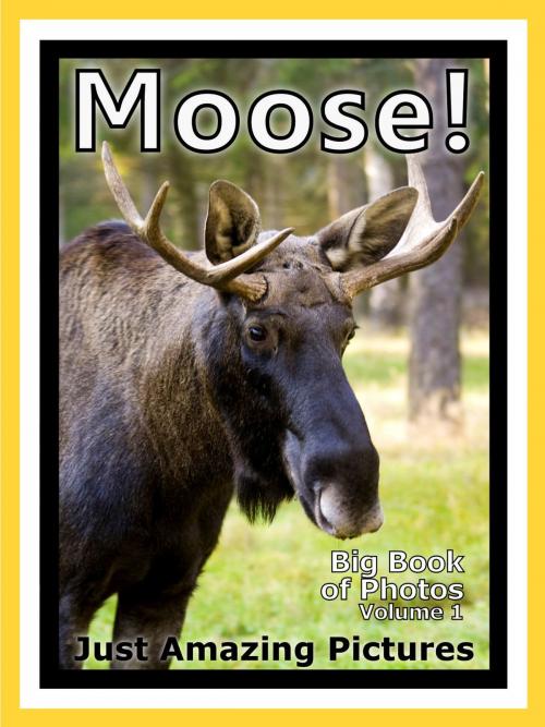 Cover of the book Just Moose & Elk Photos! Big Book of Photographs & Pictures of Moose & Elk, Vol. 1 by Big Book of Photos, Big Book of Photos