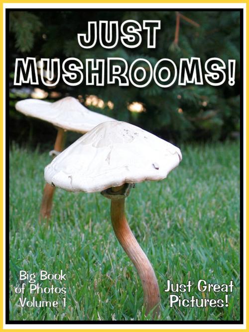 Cover of the book Just Mushroom Photos! Big Book of Photographs & Pictures of Mushrooms, Vol. 1 by Big Book of Photos, Big Book of Photos