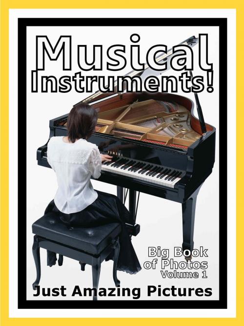 Cover of the book Just Musical Instrument Photos! Big Book of Photographs & Pictures of Musical Instruments, Vol. 1 by Big Book of Photos, Big Book of Photos