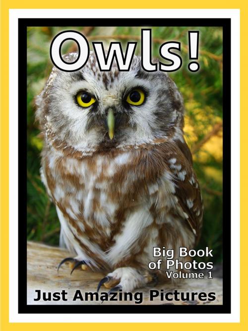 Cover of the book Just Owl Photos! Big Book of Photographs & Pictures of Owls, Vol. 1 by Big Book of Photos, Big Book of Photos