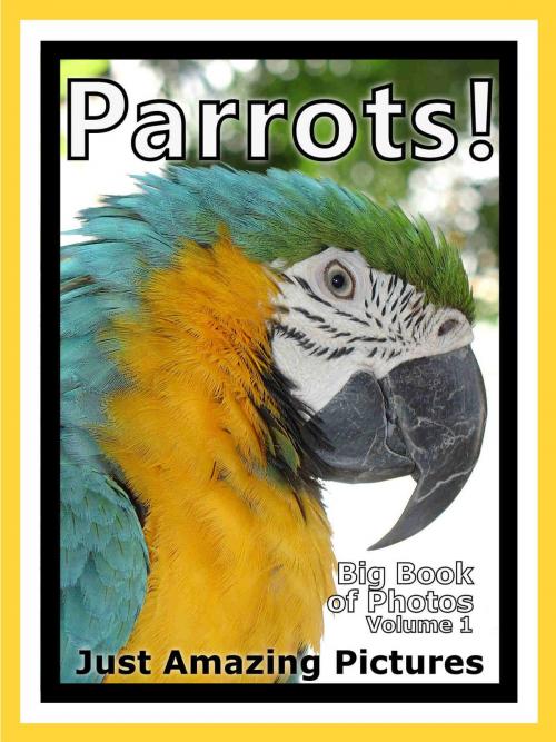 Cover of the book Just Parrot Bird Photos! Big Book of Photographs & Pictures of Parrots Birds, Vol. 1 by Big Book of Photos, Big Book of Photos