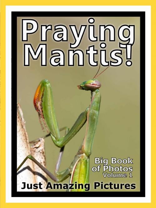 Cover of the book Just Praying Mantis Photos! Big Book of Photographs & Pictures of Praying Mantis, Vol. 1 by Big Book of Photos, Big Book of Photos