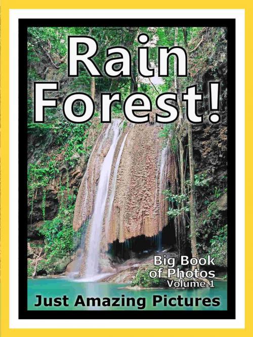 Cover of the book Just Rainforest Photos! Big Book of Photographs & Pictures of Rain Forests, Vol. 1 by Big Book of Photos, Big Book of Photos