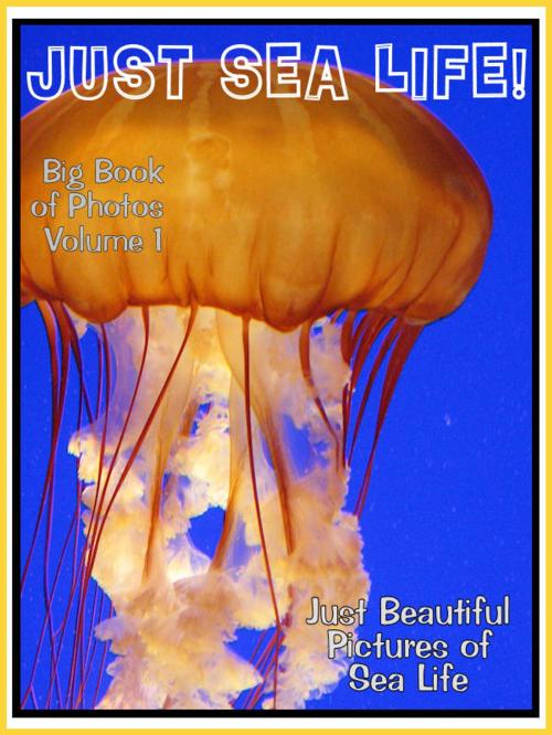 Cover of the book Just Sea Life Photos! Big Book of Marine Sealife Photographs & Pictures Vol. 1 by Big Book of Photos, Big Book of Photos