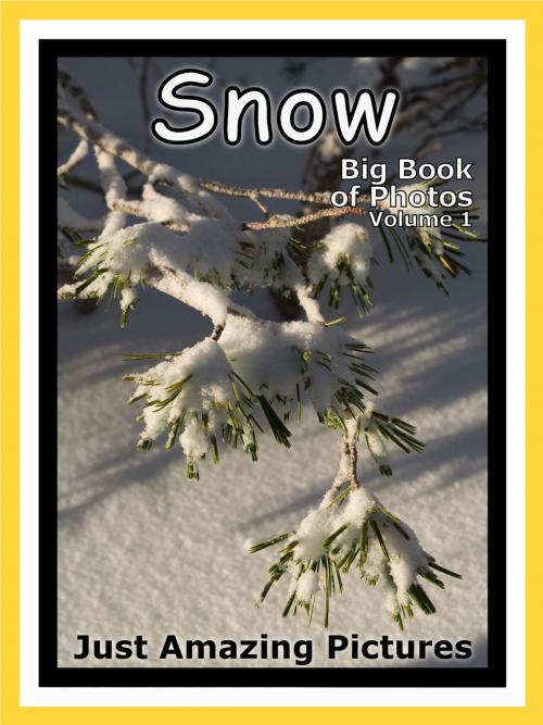 Cover of the book Just Snow Photos! Big Book of Photographs & Pictures of Winter Snow, Vol. 1 by Big Book of Photos, Big Book of Photos