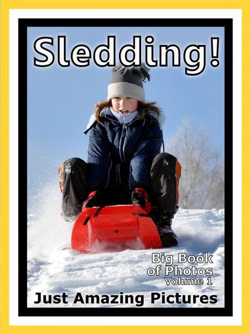 Cover of the book Just Snow Sleds Photos! Big Book of Photographs & Pictures of Sled & Sledding, Vol. 1 by Big Book of Photos, Big Book of Photos