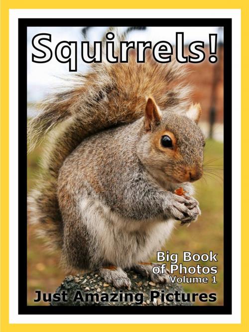 Cover of the book Just Squirrel Photos! Big Book of Photographs & Pictures of Squirrels, Vol. 1 by Big Book of Photos, Big Book of Photos