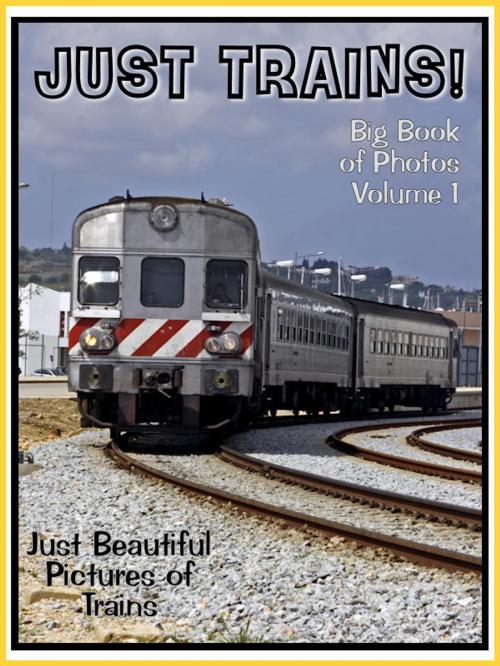 Cover of the book Just Train Photos! Big Book of Train Photographs & Pictures Vol. 1 by Big Book of Photos, Big Book of Photos