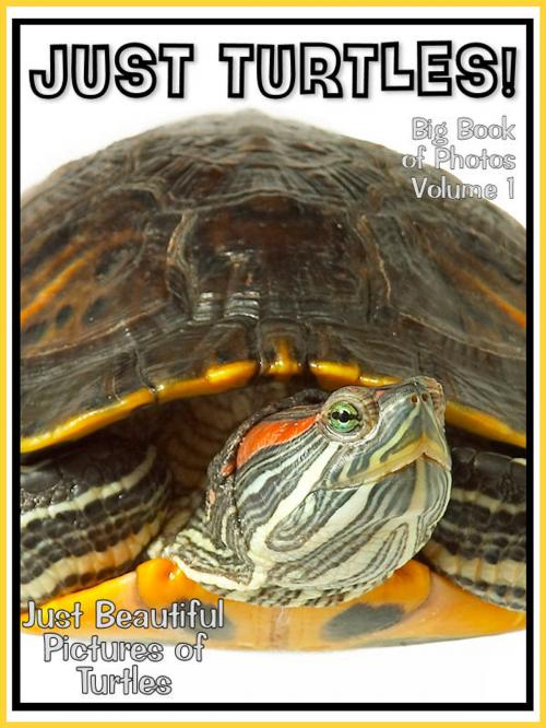 Cover of the book Just Turtle Photos! Big Book of Photographs & Pictures of Turtles, Vol. 1 by Big Book of Photos, Big Book of Photos
