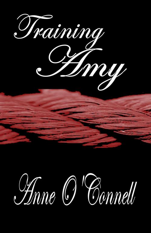 Cover of the book Training Amy by Anne O'Connell, Darkerwood Publishing Group