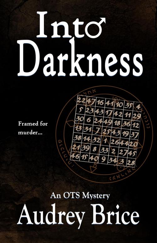 Cover of the book Into Darkness by Audrey Brice, Darkerwood Publishing Group