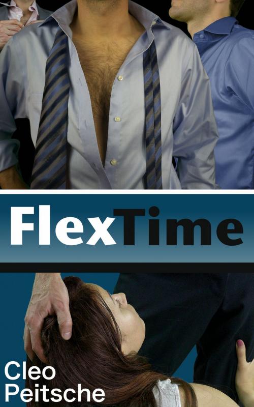 Cover of the book Flex Time by Cleo Peitsche, Pouch Productions