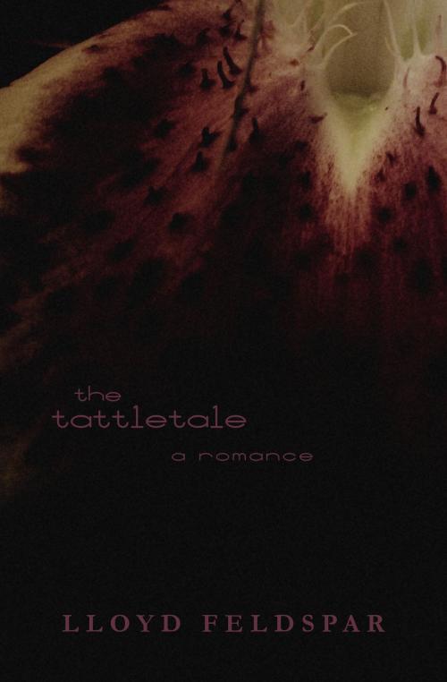 Cover of the book The Tattletale: a romance by Lloyd Feldspar, Kobo Self Publishing
