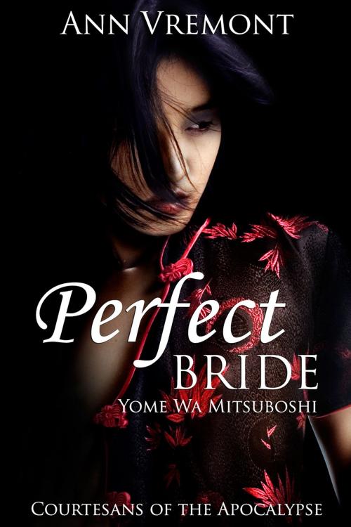 Cover of the book Perfect Bride by Ann Vremont, Ann Vremont