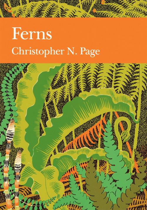 Cover of the book Ferns (Collins New Naturalist Library, Book 74) by Christopher N. Page, HarperCollins Publishers