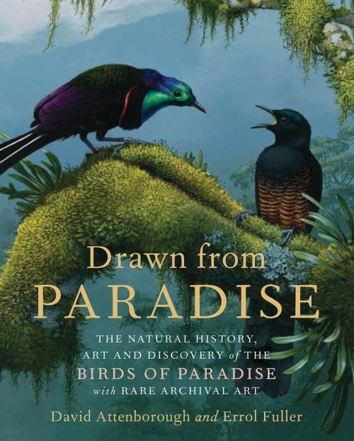 Cover of the book Drawn from Paradise by David Attenborough, Errol Fuller, Harper Design
