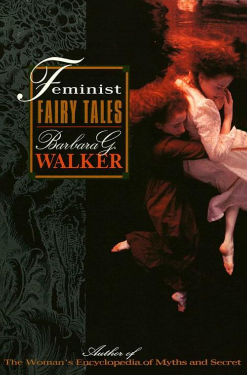 Cover of the book Feminist Fairy Tales by Barbara G. Walker, HarperOne