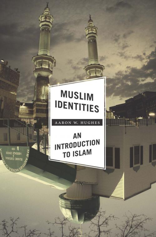 Cover of the book Muslim Identities by Aaron Hughes, Columbia University Press