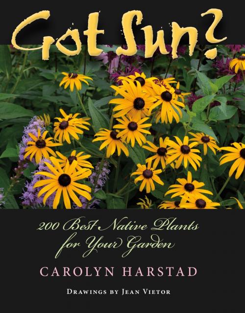 Cover of the book Got Sun? by Carolyn A. Harstad, Jean Vietor, Indiana University Press