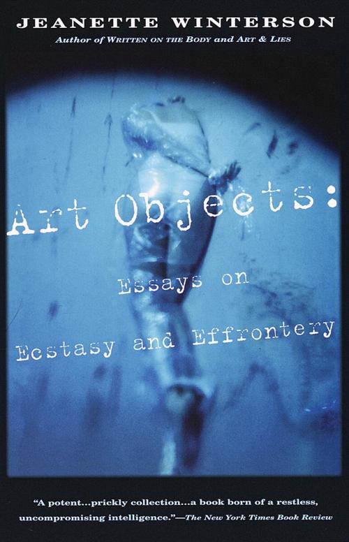Cover of the book Art Objects by Jeanette Winterson, Knopf Doubleday Publishing Group