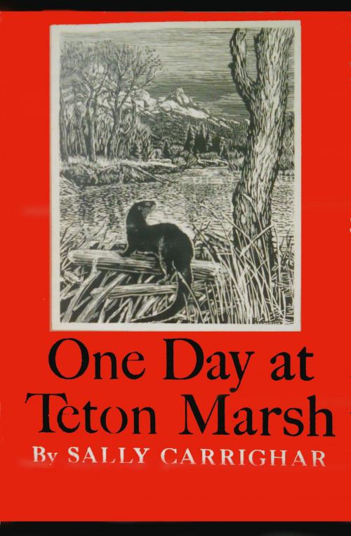 Cover of the book One Day At Teton Marsh by Sally Carrighar, Knopf Doubleday Publishing Group