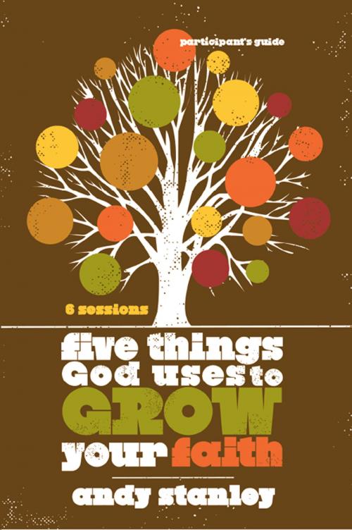 Cover of the book Five Things God Uses to Grow Your Faith Participant's Guide by Andy Stanley, Zondervan