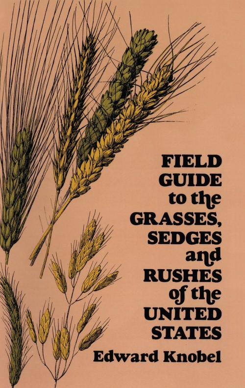 Cover of the book Field Guide to the Grasses, Sedges, and Rushes of the United States by Edward Knobel, Dover Publications
