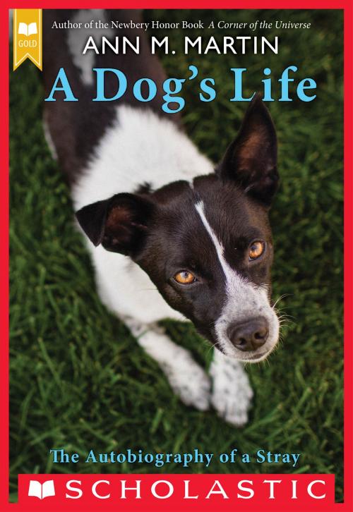 Cover of the book A Dog's Life: The Autobiography of a Stray by Ann Martin, Ann M. Martin, Scholastic Inc.