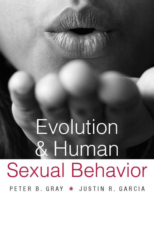 Cover of the book Evolution and Human Sexual Behavior by Peter B. Gray, Harvard University Press