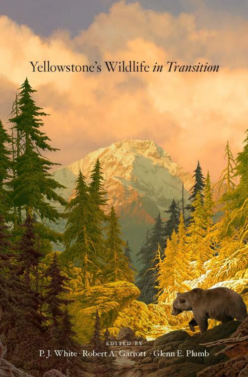Cover of the book Yellowstone's Wildlife in Transition by , Harvard University Press