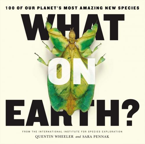 Cover of the book What on Earth? by Quentin Wheeler, Sara Pennak, Penguin Publishing Group