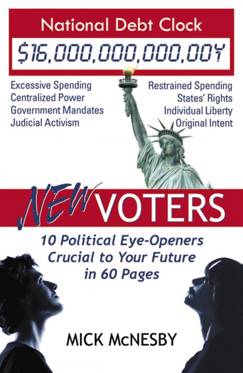 Cover of the book New Voters: 10 Political Eye-Openers Crucial to Your Future in 60 Pages by Mick McNesby, Infinity Publishing