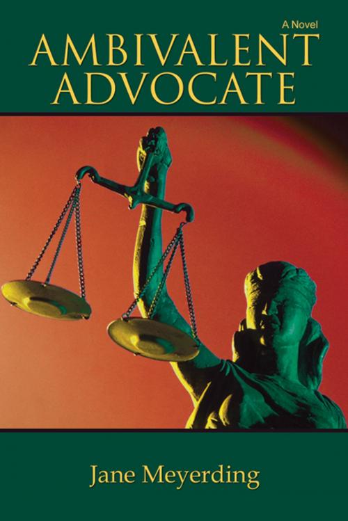Cover of the book Ambivalent Advocate by Jane Meyerding, Infinity Publishing