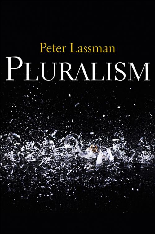 Cover of the book Pluralism by Peter Lassman, Wiley