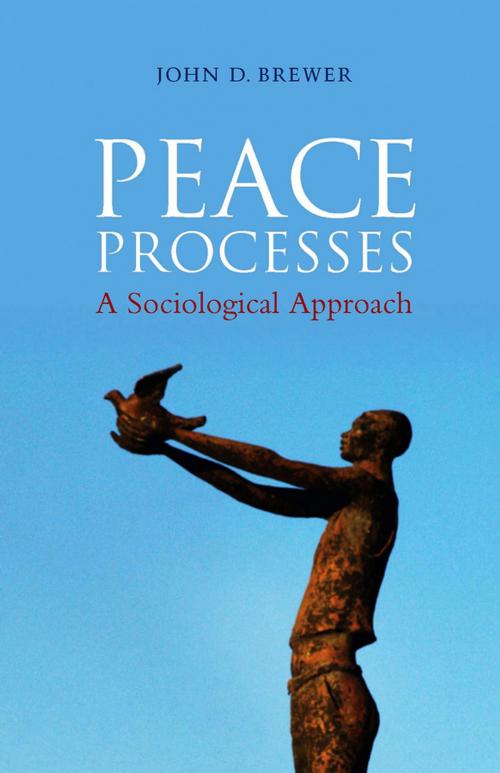 Cover of the book Peace Processes by John D. Brewer, Wiley