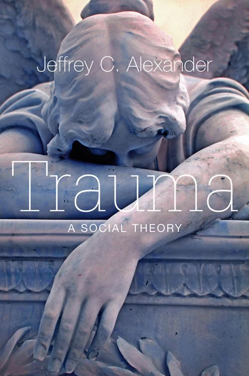 Cover of the book Trauma by Jeffrey C. Alexander, Wiley